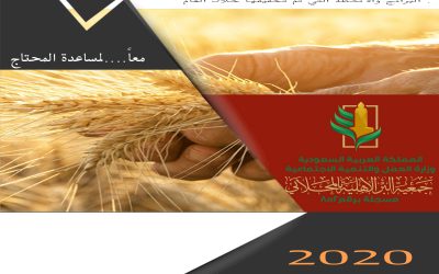 مسيرة عام 2019م